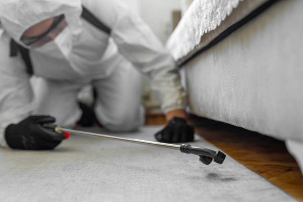 Professional Pest Control technician working in Perham, MN