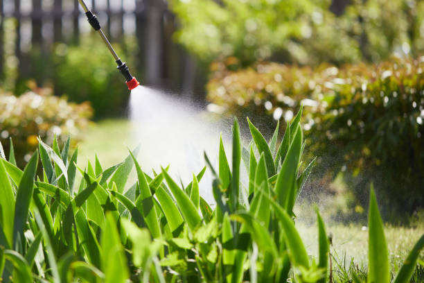 24/7 Emergency Pest Control experts in Perham, MN